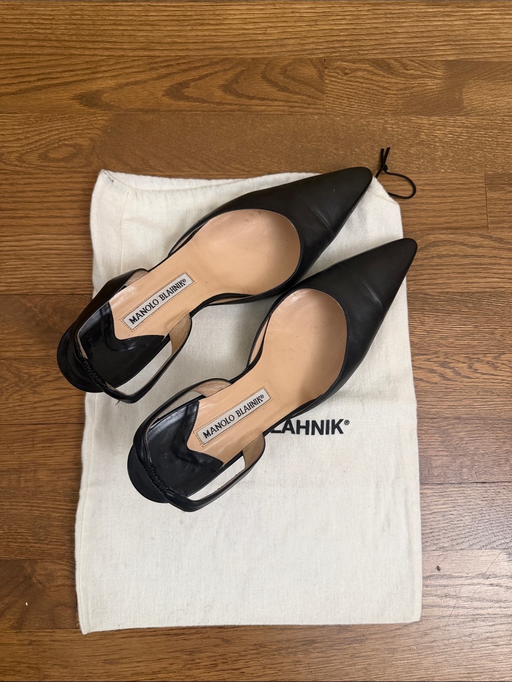 Manolo Blahnik Black Pointed Slingback Heels